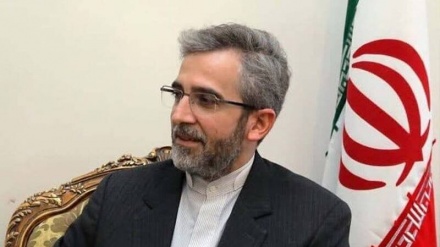 باقری کنی : ایران در معادله برجام طرف مدعی است و طرف‌های غربی بدهکارند