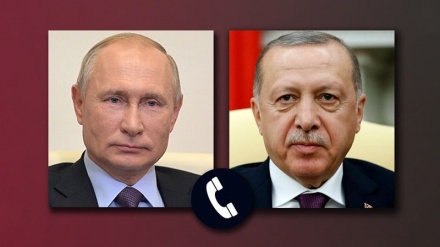 تاکید پوتین و اردوغان بر توسعه همکاری های چندجانبه 