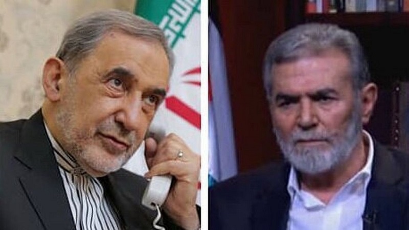 Iranpress: لقاء مستشار سماحة قائد الثورة الإسلامية للشؤون الدولية مع السيد زياد النخالة 