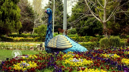 زیبایی بهار و نوروز در باغ گل‌های اصفهان