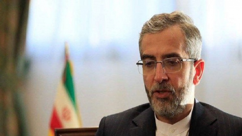 Iranpress: نائب وزير الخارجية يؤكد على استخدام فرصة الدبلوماسية