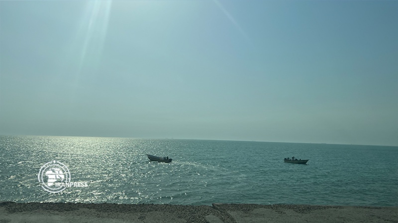 ایران پرس: چشم‌انداز زیبا و بهاری سواحل بوشهر