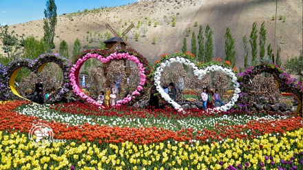  جشنواره باغ لاله‌ها در منطقه گردشگری آسارا 