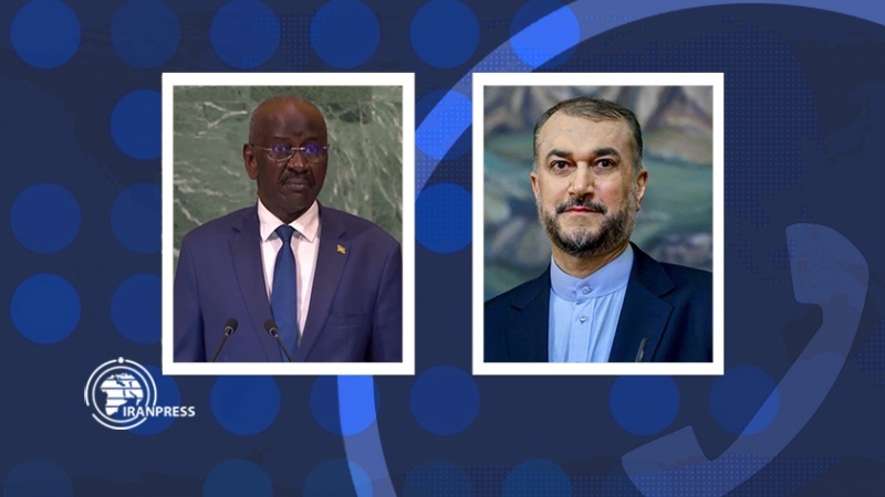 Iranpress: إيران وموريتانيا تبحثان عقد اجتماع طارئ لمنظمة التعاون الإسلامي