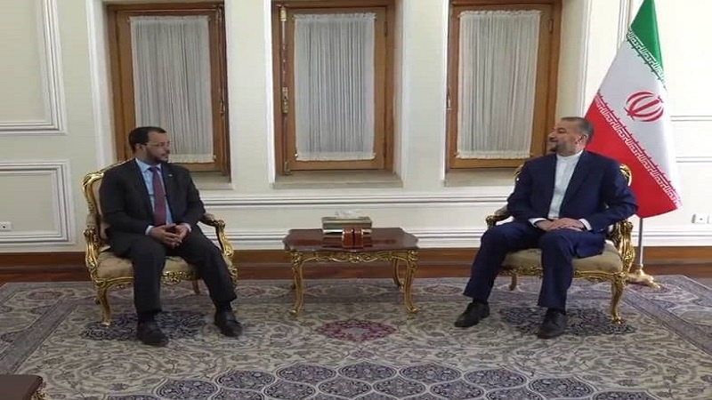 Iranpress: وزير الخارجية يثني على موريتانيا لدعمها القضية الفلسطينية العادلة