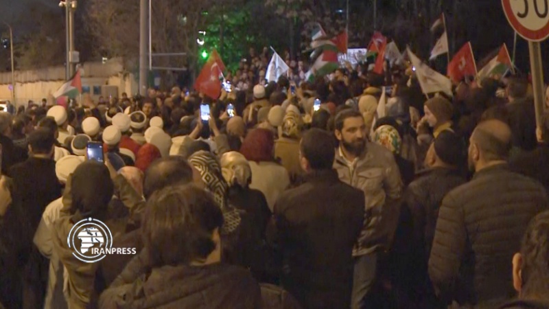 Iranpress: مظاهرات مناهضة لإسرائيل في تركيا