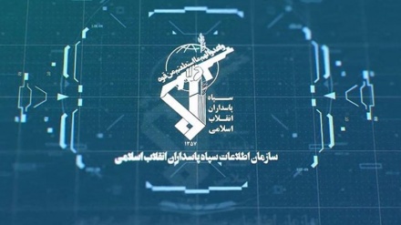 تفكيك خلية تنفيذية وإعلامية تابعة لـ‘داعش خراسان’ في جنوب إيران