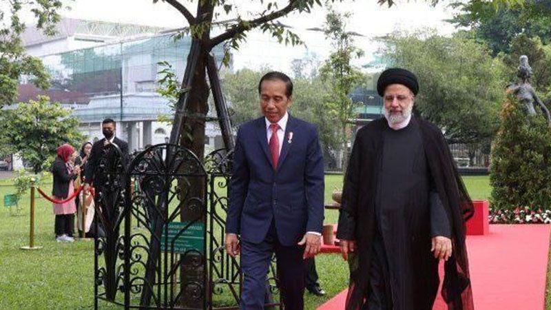 Iranpress: الرئيس الإندونيسي يستقبل نظيره الإيراني في قصر مرديكا