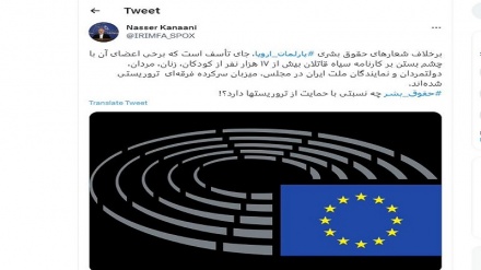 كنعاني مخاطبًا البرلمان الأوروبي: ما هي العلاقة بين حقوق الإنسان ودعم الإرهابيين !