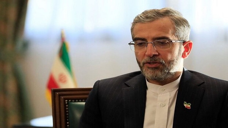 Iranpress: باقري كني: سياسة الجوار الإيرانية مهدت لإرساء الإستقرار وتشجيع التعاون الاقتصادي في المنطقة