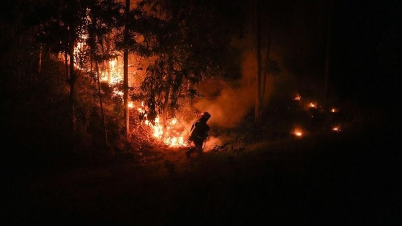 Iranpress: فرض حالة الطوارئ في ألبرتا الكندية بسبب حرائق الغابات