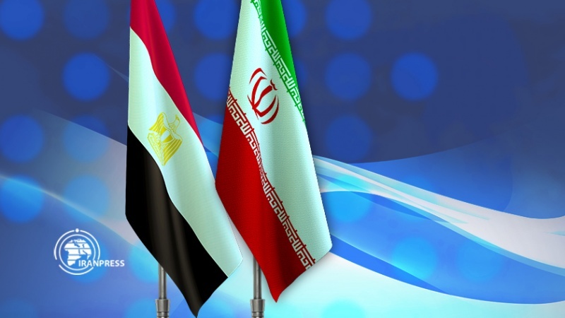 Iranpress: مساع إيرانية مصرية للرقي بمستوى العلاقات السياسية