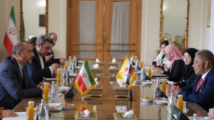 تهران، میزبان نشست وزرای امور خارجه ایران و برونئی