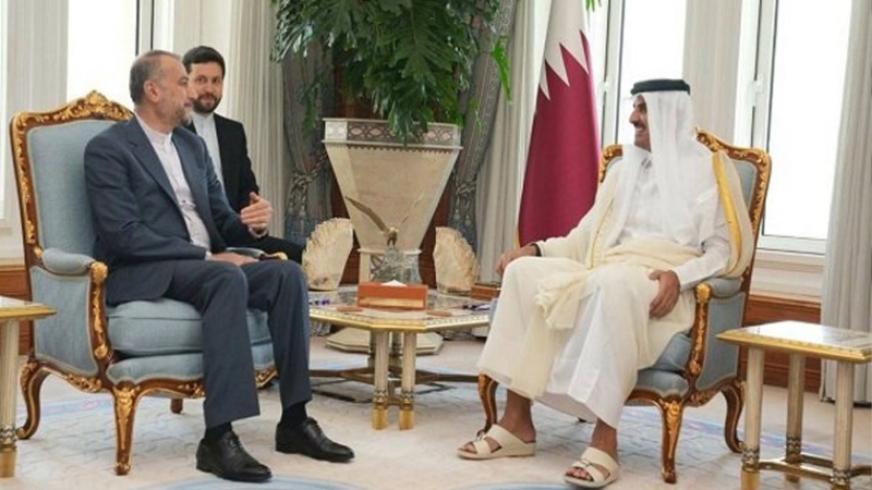 Iranpress: أمير دولة قطر: نريد تطويرا شاملا للعلاقات مع إيران