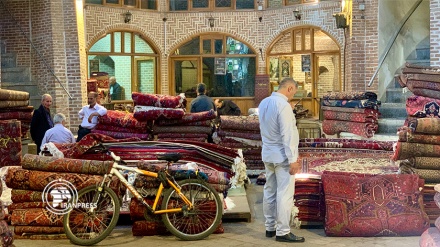 شکوه فرش دستبافت ایرانی در قاب ایران‌پرس