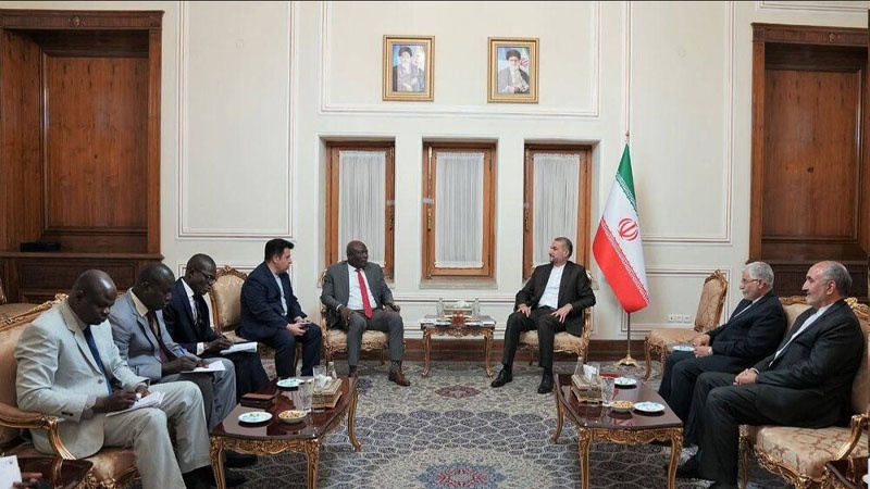 Iranpress: وزير الخارجية الإيراني يرحب بتطوير علاقات بلاده مع الدول الأفريقية