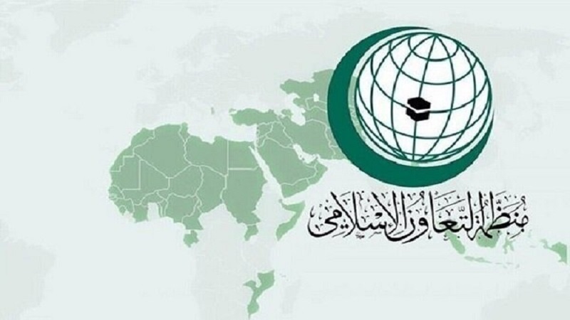 Iranpress: التعاون الاسلامي ترحب بدعوة البرلمان الأوروبي بـ "الدعم المبدئي للاعتراف بدولة فلسطين"
