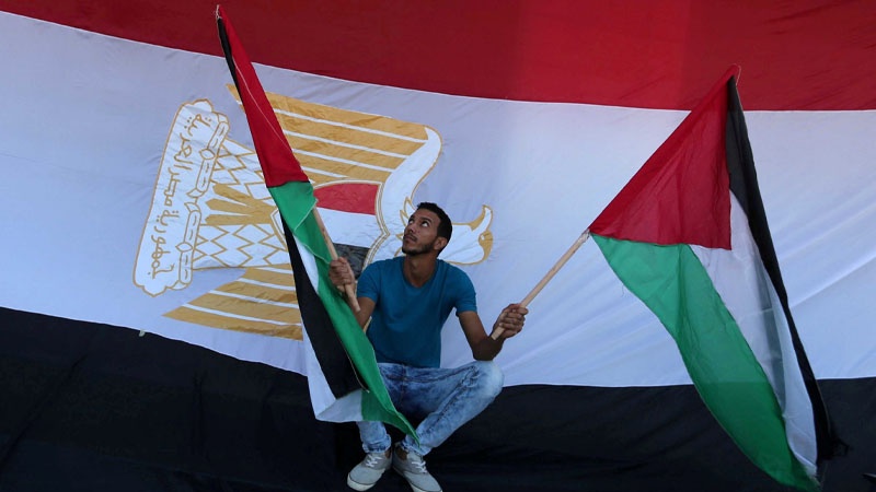 Iranpress: الحركة الوطنية الأسيرة توجه رسالة لمجتمعي القاهرة