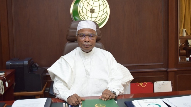 Iranpress: منظمة التعاون الإسلامي تطالب بالإفراج عن رئيس النيجر