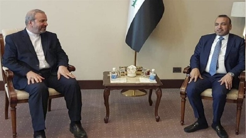 Iranpress: السفير الإيراني في بغداد يلتقي وزير العمل العراقي