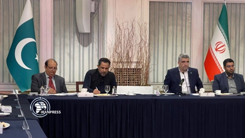 Iranpress: عقد اجتماع بين خبراء إيرانيين وباكستانيين في مجال تكنولوجيا المعلومات