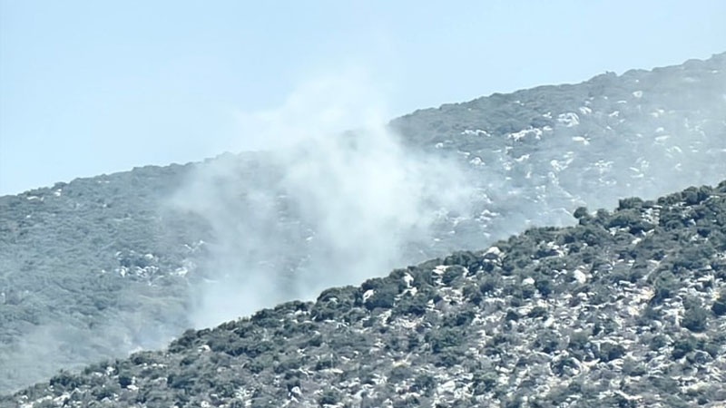 Iranpress: الجيش الإسرائيلي يقصف محيط بلدة كفرشوبا الحدودية اللبنانية