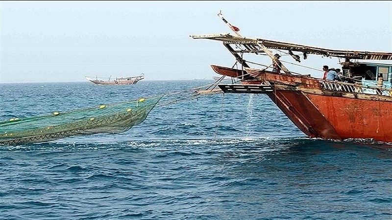 Iranpress: إيران الأولى في صيد الأسماك بين الدول الإسلامية