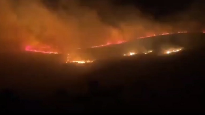 Iranpress: اندلاع حريق هائل في شمال فلسطين المحتلة
