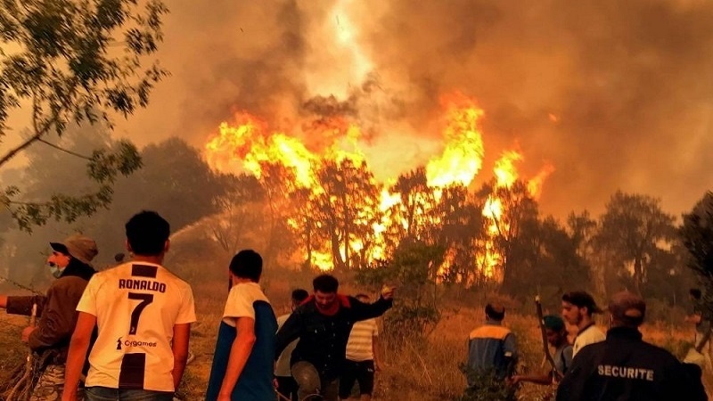 Iranpress: بالفيديو.. ارتفاع وفيات حرائق الغابات في الجزائر إلى 34