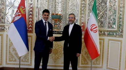 باقري: إيران تنتهج سياسة توسيع التعاون مع دول البلقان بهدف تعزيز أمن المنطقة واستقرارها
