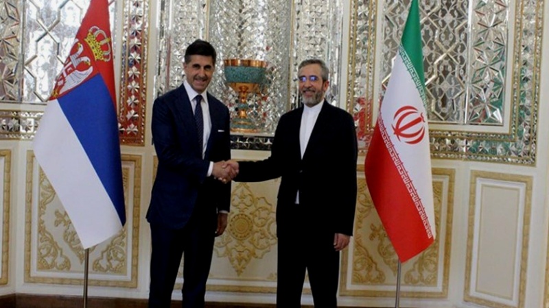 Iranpress: باقري: إيران تنتهج سياسة توسيع التعاون مع دول البلقان بهدف تعزيز أمن المنطقة واستقرارها