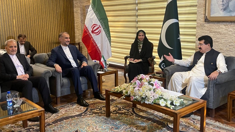 Iranpress: وزير الخارجية الإيراني يلتقي برئيسي مجلسي الشيوخ والشعب الباكستانيين
