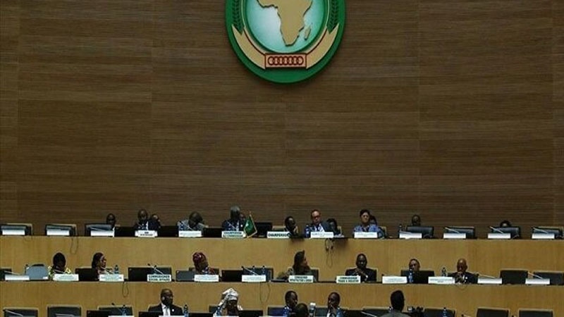 Iranpress: تعليق عضوية النيجر في كل أنشطة الاتحاد الافريقي