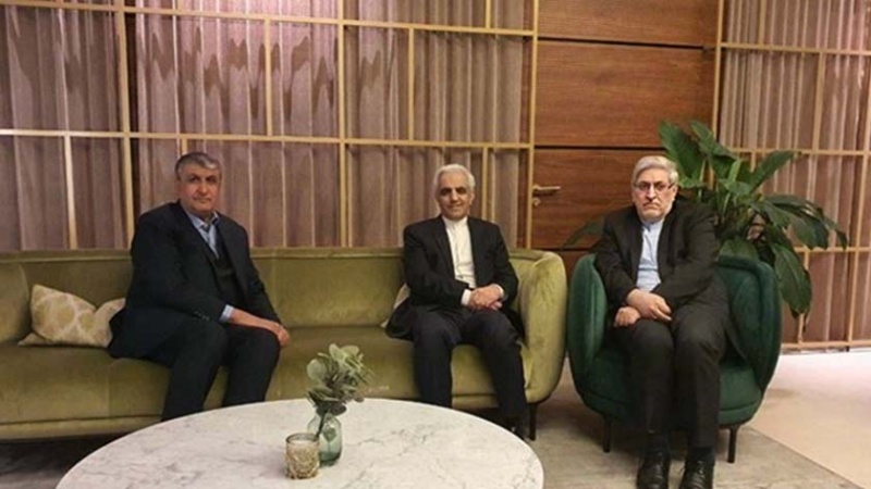 Iranpress: رئيس منظمة الطاقة الذرية الإيرانية يصل إلى فيينا