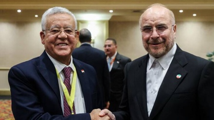 رئيسا المجلسين الإيراني والمصري يؤكدان على تطوير العلاقات