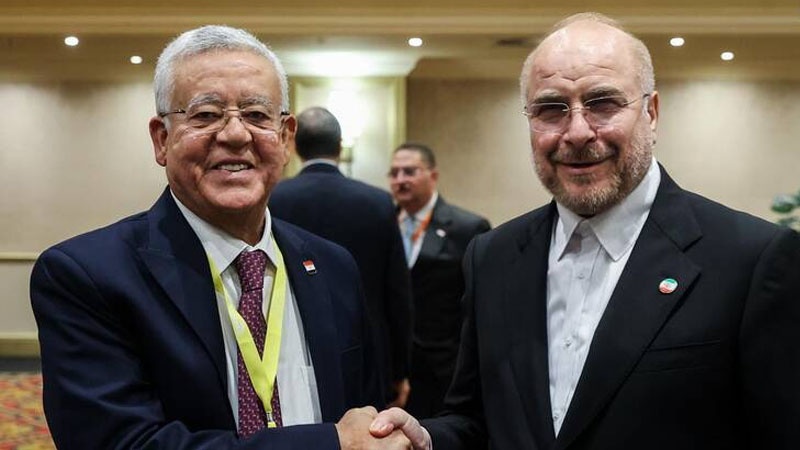 Iranpress: رئيسا المجلسين الإيراني والمصري يؤكدان على تطوير العلاقات