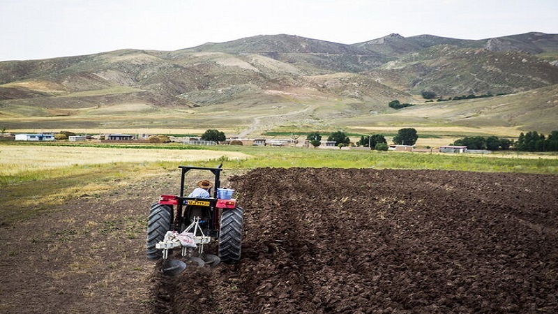 Iranpress: ارتفاع الصادرات الزراعية في الأشهر الـ5 الماضية 