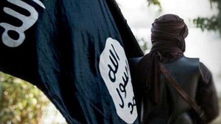 اعتقال أحد قادة تنظيم داعش الإرهابي في جنوب شرق إيران 