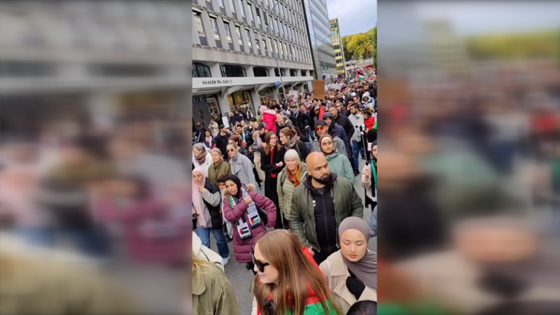 Iranpress: مظاهرات في العاصمة النرويجية دعما لفلسطين + فيديو