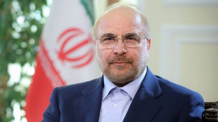 قاليباف يؤكد استعداد إيران لعقد اجتماع استثنائي للجنة البرلمانية الدائمة لمناصرة الشعب الفلسطيني
