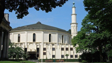 مجلس مسلمي بلجيكيا يدين هجوما إرهابيا في بروكسل