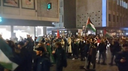 مظاهرات حاشدة بالسويد والمكسيك وهولندا تضامنًا مع غزة