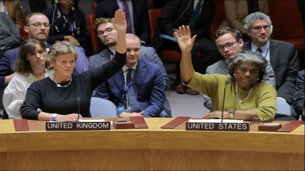 مجلس الأمن يفشل في تبني مشروع قرار لوقف إطلاق النار بغزة