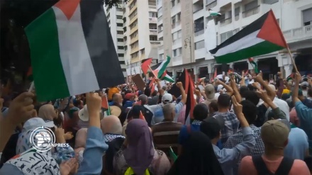 مظاهرة في المغرب تضامنا مع الشعب الفلسطيني + فيديو
