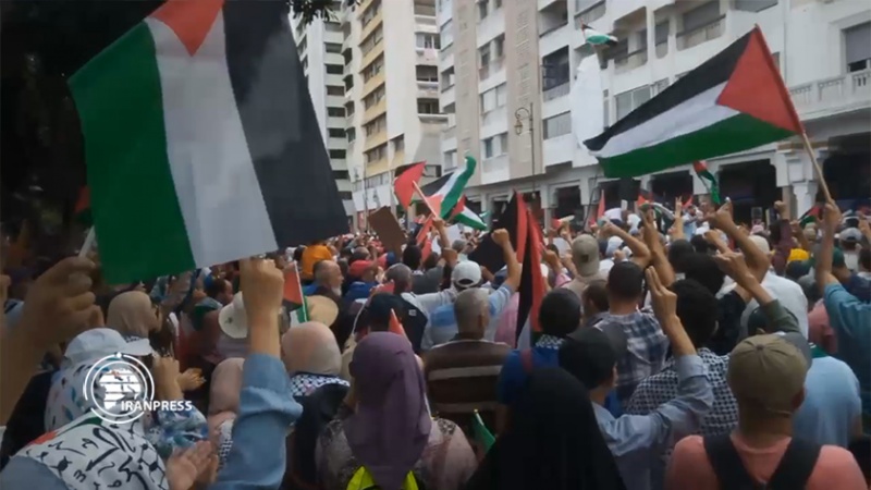 Iranpress: مظاهرة في المغرب تضامنا مع الشعب الفلسطيني + فيديو