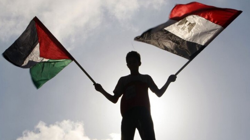 Iranpress: شاهد.. جهود المصريين في مساعدة سكان قطاع غزة
