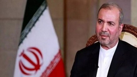 السفير الإيراني لدى العراق يؤكد على ضرورة دعم الشعب الفلسطيني
