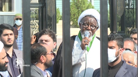 الشيخ الزكزاكي يصل إلى طهران