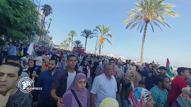 Iranpress: مظاهرات في محافظات مصر دعما لفلسطين وغزة + فيديو