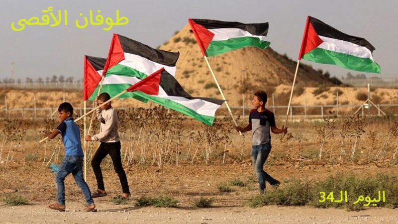 Iranpress: لحظة بلحظة..تطورات الأوضاع في غزة في اليوم الـ 34 من العدوان الإسرائيلي عليها